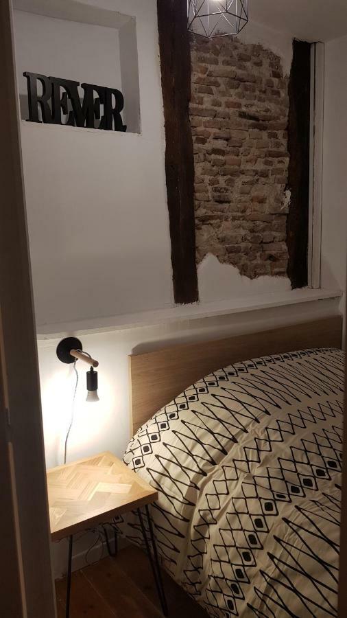 Appartement Avec Cour ★ Spacieux ★ Hyper Centre Castres  Exteriér fotografie