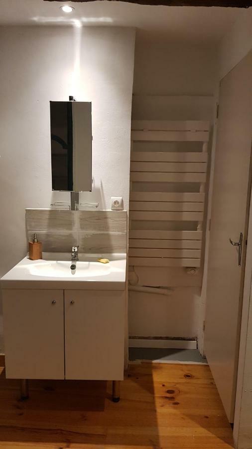 Appartement Avec Cour ★ Spacieux ★ Hyper Centre Castres  Exteriér fotografie