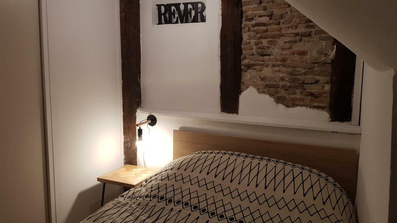 Appartement Avec Cour ★ Spacieux ★ Hyper Centre Castres  Exteriér fotografie